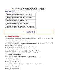 新高考数学一轮复习考点题型归纳讲练第36讲 空间向量及其应用（精讲）（2份，原卷版+解析版）