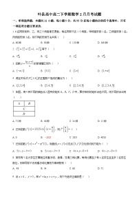 河南省平顶山市叶县叶县高级中学2024-2025学年高二下学期2月月考数学试题（原卷版+解析版）