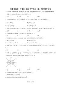 安徽省芜湖一中2024-2025学年高二（上）期末数学试卷（含答案）