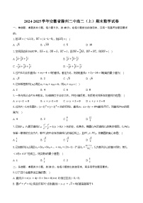 2024-2025学年安徽省滁州二中高二（上）期末数学试卷（含答案）