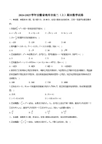 2024-2025学年安徽省亳州市高二（上）期末数学试卷（含答案）