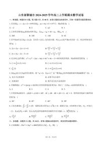 山东省聊城市2024-2025学年高二上学期期末数学试卷（含答案）