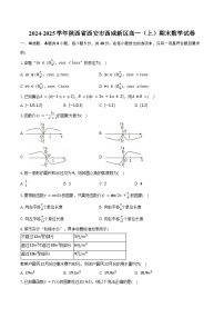 2024-2025学年陕西省西安市西咸新区高一（上）期末数学试卷（含答案）