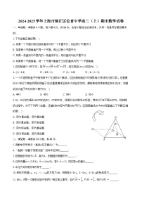 2024-2025学年上海市徐汇区位育中学高二（上）期末数学试卷（含答案）