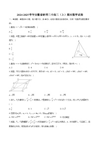2024-2025学年安徽省蚌埠二中高二（上）期末数学试卷（含答案）