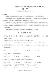 成都石室中学2024-2025学年度下期高2025届二诊模拟考试 数学（含答案）