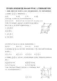 四川省眉山育英实验学校2024-2025学年高二上学期期末数学试卷（含答案）