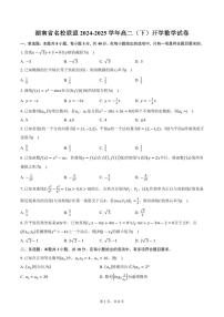 湖南省名校联盟2024-2025学年高二(下)开学数学试卷(含答案)