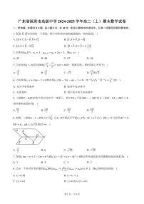 广东省深圳市高级中学2024-2025学年高二（上）期末数学试卷（含答案）