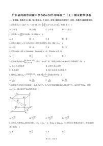 广东省河源市河源中学2024-2025学年高二（上）期末数学试卷（含答案）