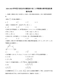 2024-2025学年四川省达州市普通高中高二上学期期末教学质量监测数学试卷（含答案）