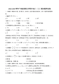 2024-2025学年广东省深圳大学附中高二(上)期末数学试卷(含答案)