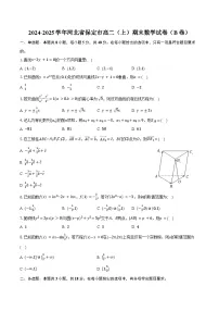 2024-2025学年河北省保定市高二(上)期末数学试卷(B卷)(含答案)