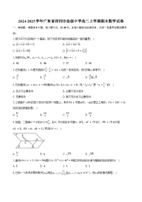 2024-2025学年广东省深圳市高级中学高二上学期期末数学试卷（含答案）
