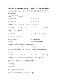 2024-2025学年湖南省邵东市高一上册10月月考数学检测试题（含解析）