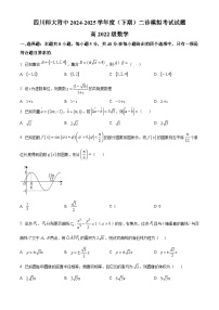 成都市四川师范大学附属中学2024-2025学年高三下学期二诊模拟考试数学试题【含答案】