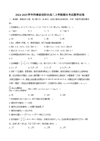2024-2025学年河南省洛阳市高二上学期期末考试数学试卷（含答案）