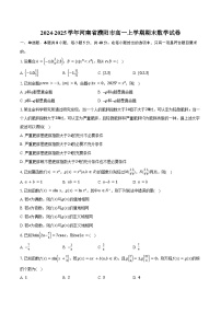 2024-2025学年河南省濮阳市高一上学期期末数学试卷（含答案）