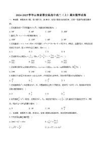 2024-2025学年山东省泰安某高中高二（上）期末数学试卷（含答案）
