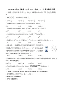 2024-2025学年云南省文山州文山一中高二(上)期末数学试卷(含答案)