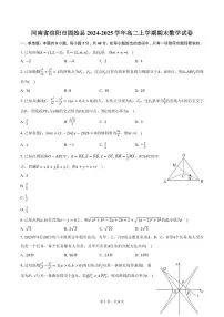 河南省信阳市固始县2024-2025学年高二上学期期末数学试卷（含答案）