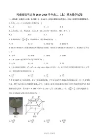 河南省驻马店市2024-2025学年高二（上）期末数学试卷（含答案）