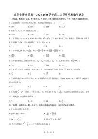 山东省泰安某高中2024-2025学年高二上学期期末数学试卷（含答案）