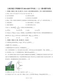 上海交通大学附属中学2024-2025学年高二（上）期末数学试卷（含答案）