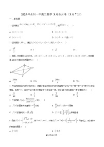 湖南省永州市第一中学2025届高三下学期3月月考数学试题（Word版附解析）