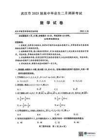 2025 武汉高三年级二调数学试题及解析