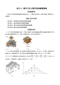 新高考数学三轮冲刺解题技巧精讲精练技巧03 数学文化与数学阅读解题策略（2份，原卷版+解析版）