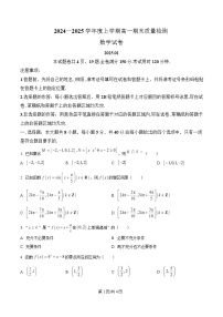 湖北省武汉市2024-2025学年高一上学期1月期末数学试卷（Word版附解析）