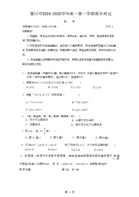 广东省惠州市2024-2025学年高一上学期期末考试数学试题