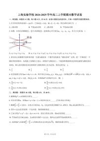 上海实验学校2024-2025学年高二上学期期末数学试卷（含答案）