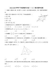 2024-2025学年广东省梅州市高二（上）期末数学试卷（含答案）