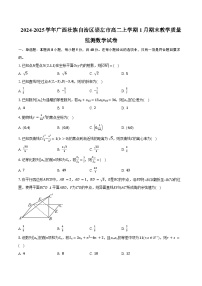 2024-2025学年广西壮族自治区崇左市高二上学期1月期末教学质量监测数学试卷（含答案）