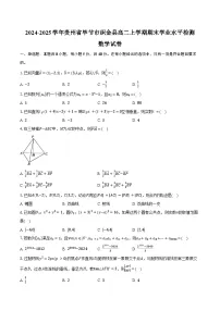 2024-2025学年贵州省毕节市织金县高二上学期期末学业水平检测数学试卷（含答案）