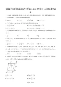 安徽省六安市叶集皖西当代中学2024-2025学年高二(上)期末数学试卷(含答案)