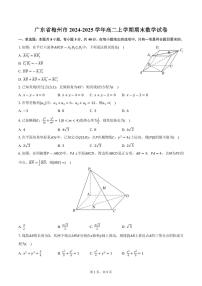 广东省梅州市2024-2025学年高二上学期期末数学试卷（含答案）