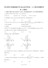 四川省资中县球溪高级中学2024-2025学年高一（上）期末考试数学试卷（火箭班）（含答案）