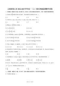 云南省保山市2024-2025学年高一（上）期末质量监测数学试卷（含答案）