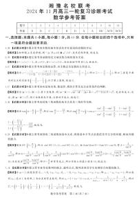 湘豫名校联考2024-2025学年高三上学期11月诊断考试数学试卷及参考答案