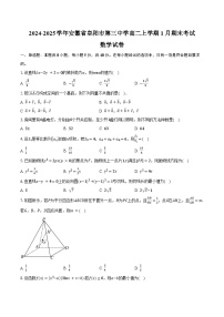 2024-2025学年安徽省阜阳市第三中学高二上学期1月期末考试数学试卷（含答案）