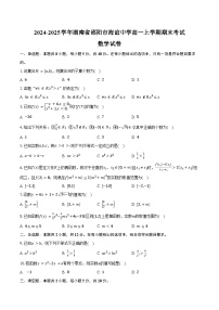 2024-2025学年湖南省邵阳市海谊中学高一上学期期末考试数学试卷(含答案)