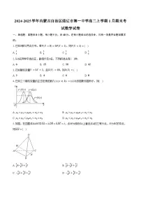 2024-2025学年内蒙古自治区通辽市第一中学高二上学期1月期末考试数学试卷(含答案)