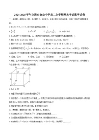 2024-2025学年上海市金山中学高二上学期期末考试数学试卷（含答案）