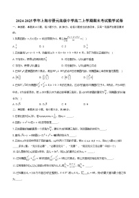 2024-2025学年上海市晋元高级中学高二上学期期末考试数学试卷（含答案）