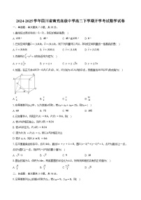 2024-2025学年四川省南充高级中学高二下学期开学考试数学试卷（含答案）