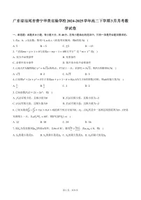 广东省汕尾市普宁华美实验学校2024-2025学年高二下学期3月月考数学试卷（含答案）