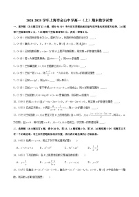 2024-2025学年上海市金山中学高一（上）期末数学试卷 （含解析）